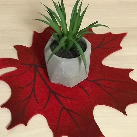 Apartma Tjasa-terme Catez Сasa de vacaciones Catez ob Savi