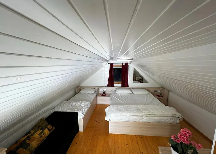 Apartma Tjasa-terme Catez